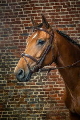 Dy'on D Collection Flash Noseband With Removable Attachment Bridle